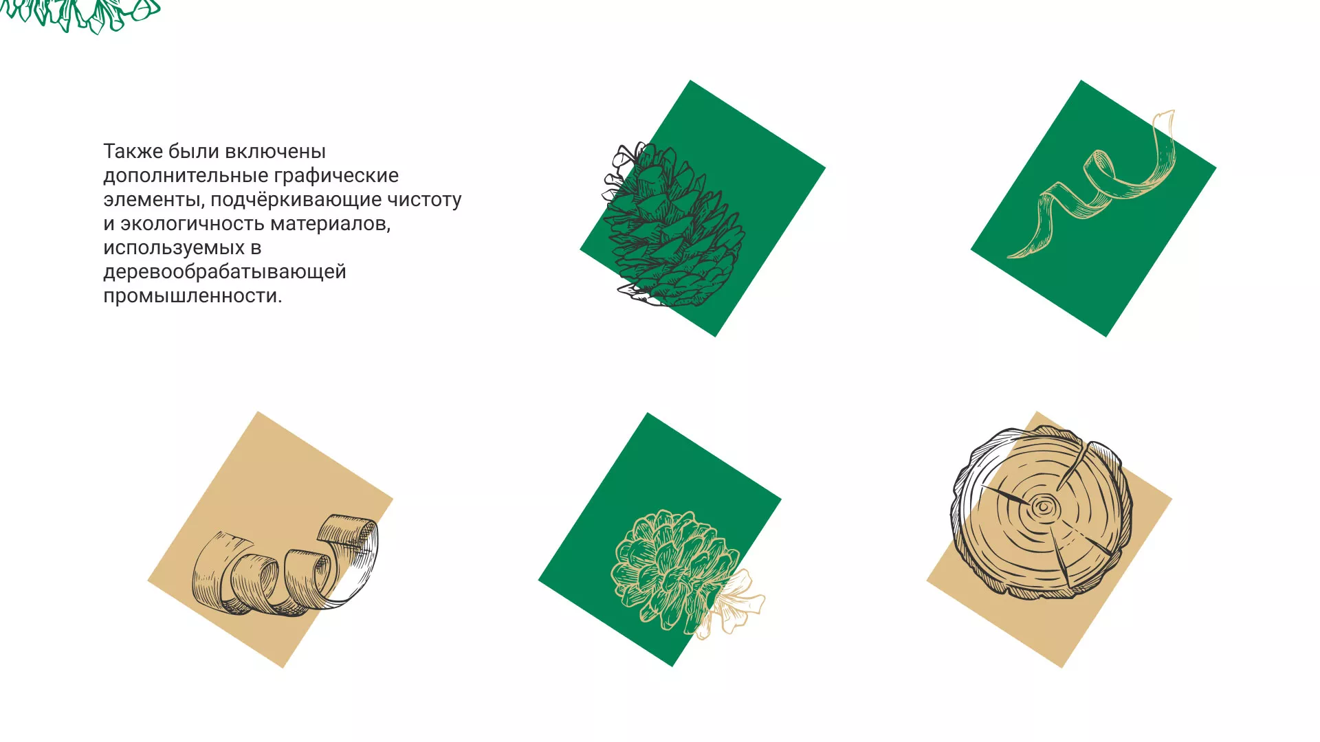 Разработка айдентики и сайта компании «Plastwood» в Ветлуге