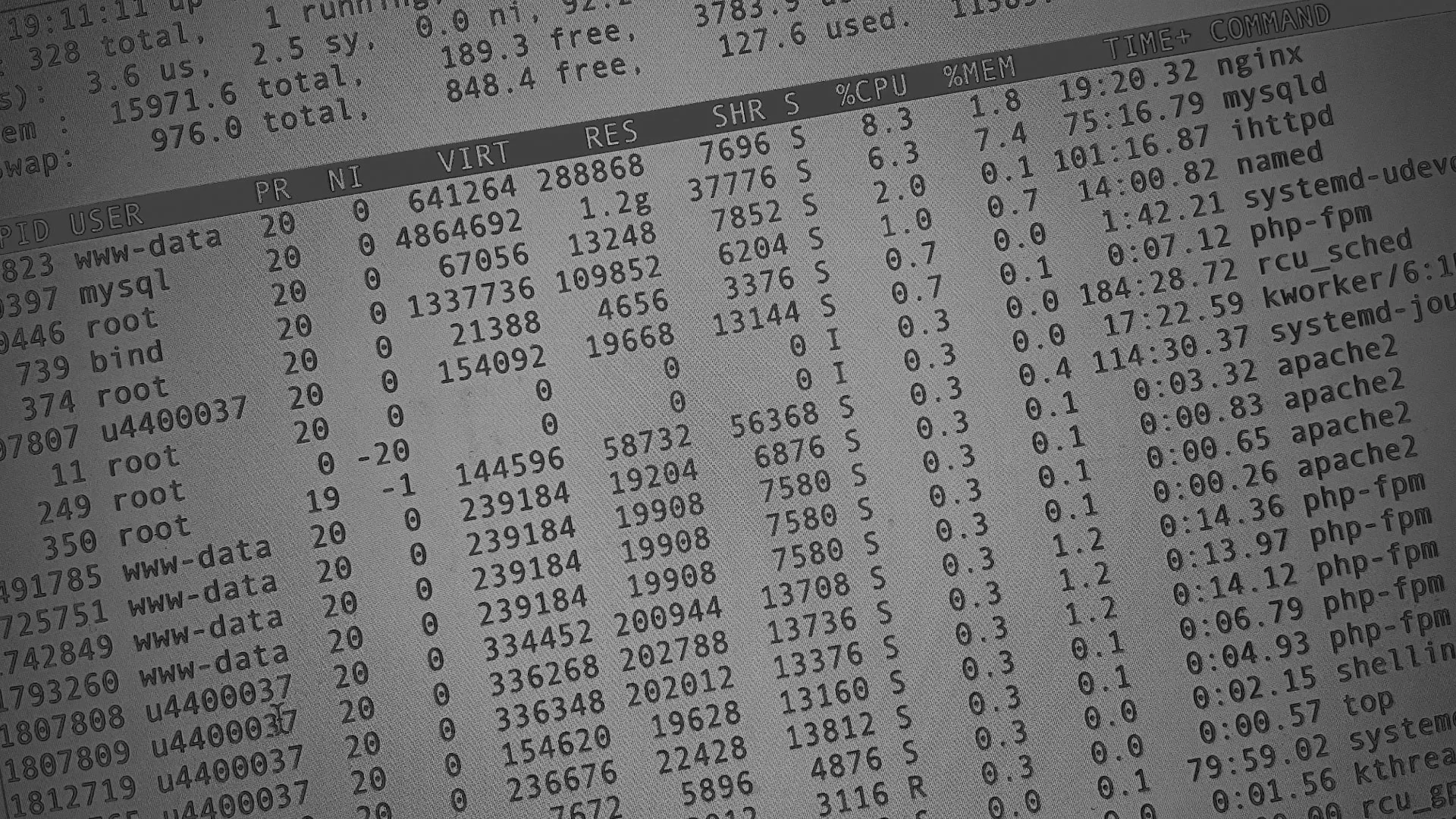 Настройка сервера в Ветлуге