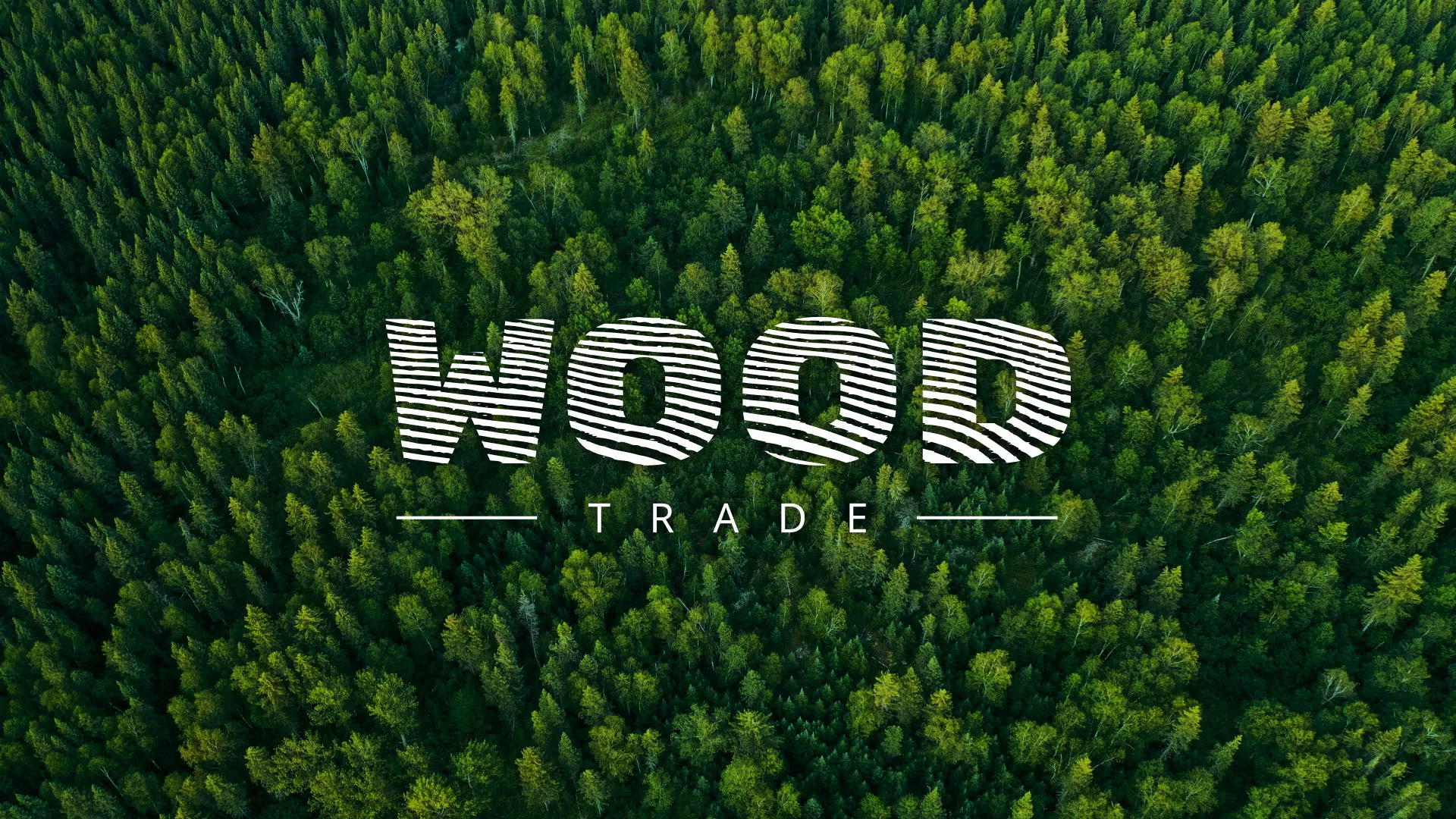 Разработка интернет-магазина компании «Wood Trade» в Ветлуге
