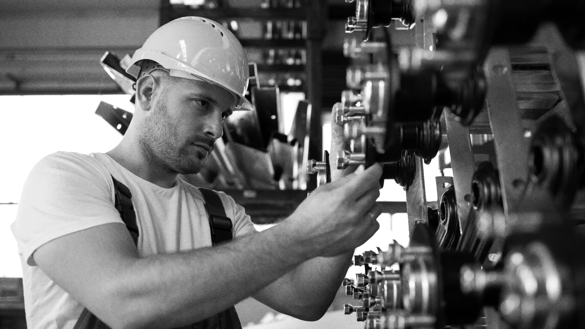 Разработка сайта для завода по продаже оборудования в Ветлуге